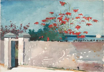 Un mur, Nassau